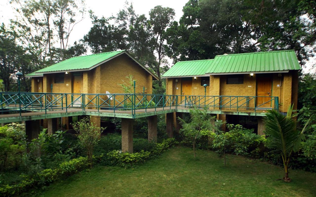 Mpt White Tiger Forest Lodge Tāla Exterior foto